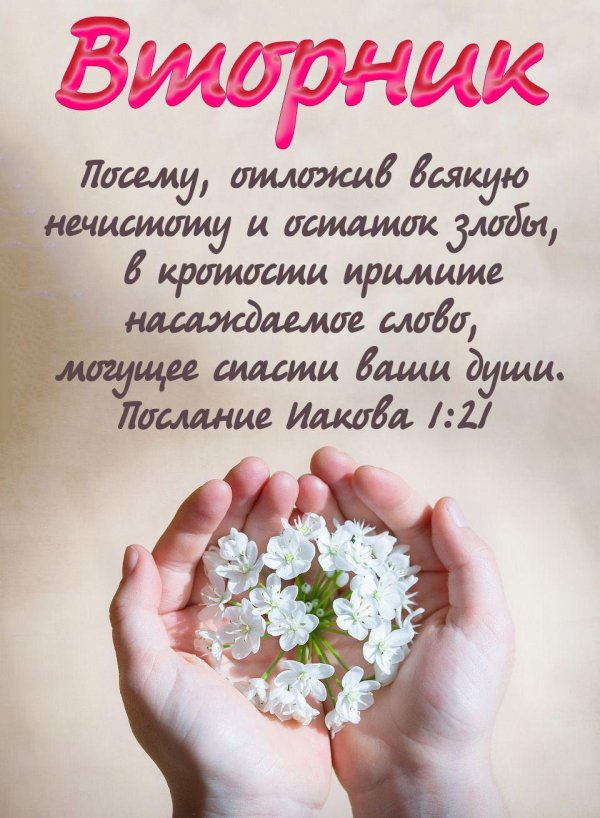 благословенного вторника