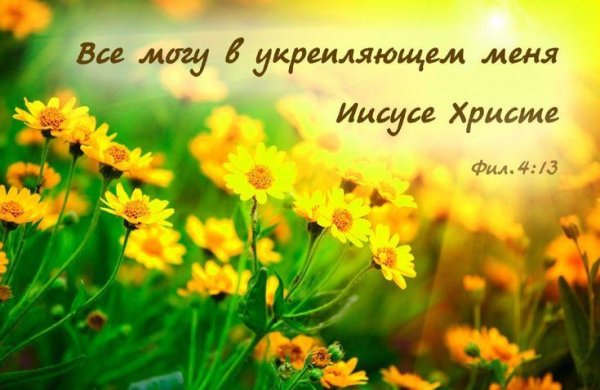 жëлтые цветы