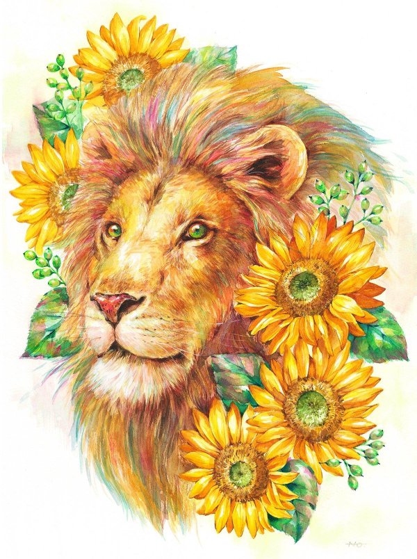 львенок рисунок