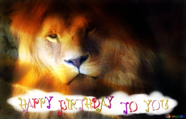 happy birthday lion