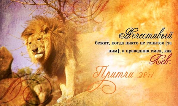 притча про льва