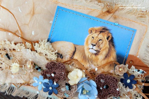 красивые львы