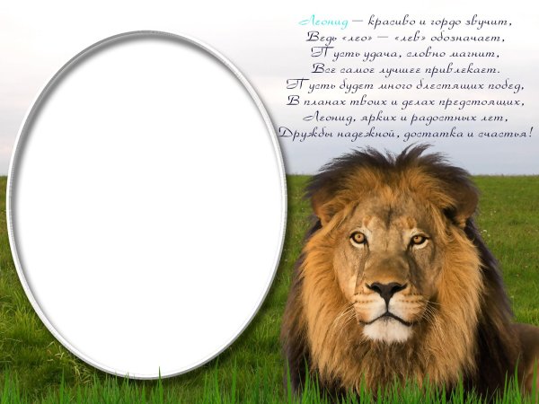 открытка со львом