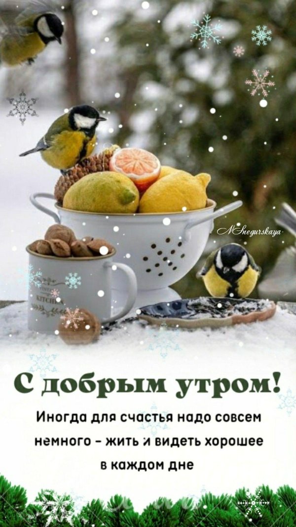 с доброе утро зимнее