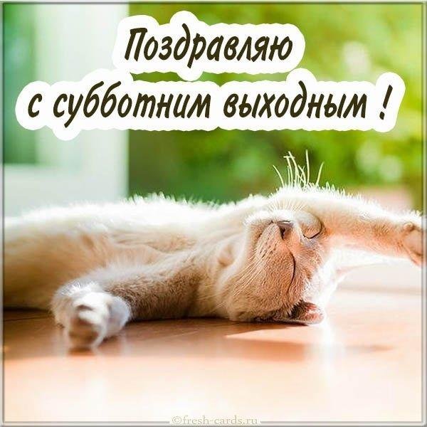 выходной суббота