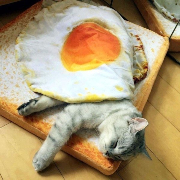 смешная яичница