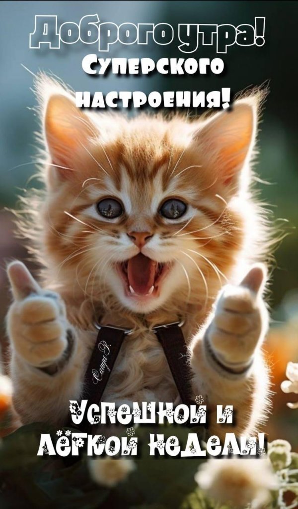 добра утра