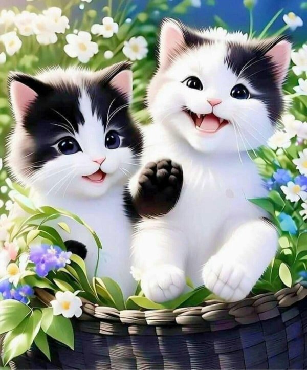 очаровательные котята