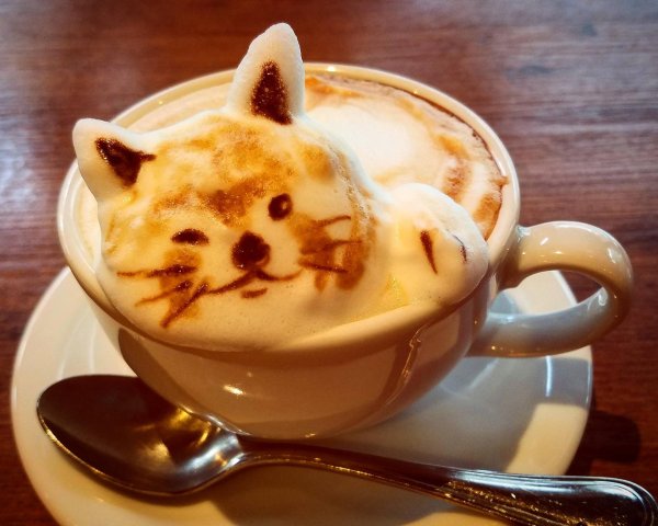 латте арт