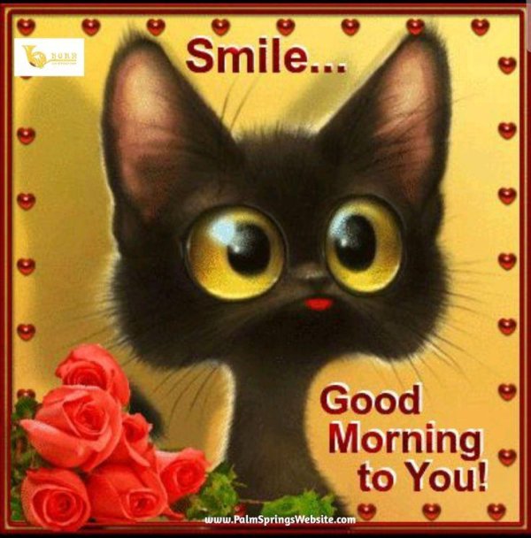 гуд монинг с котом
