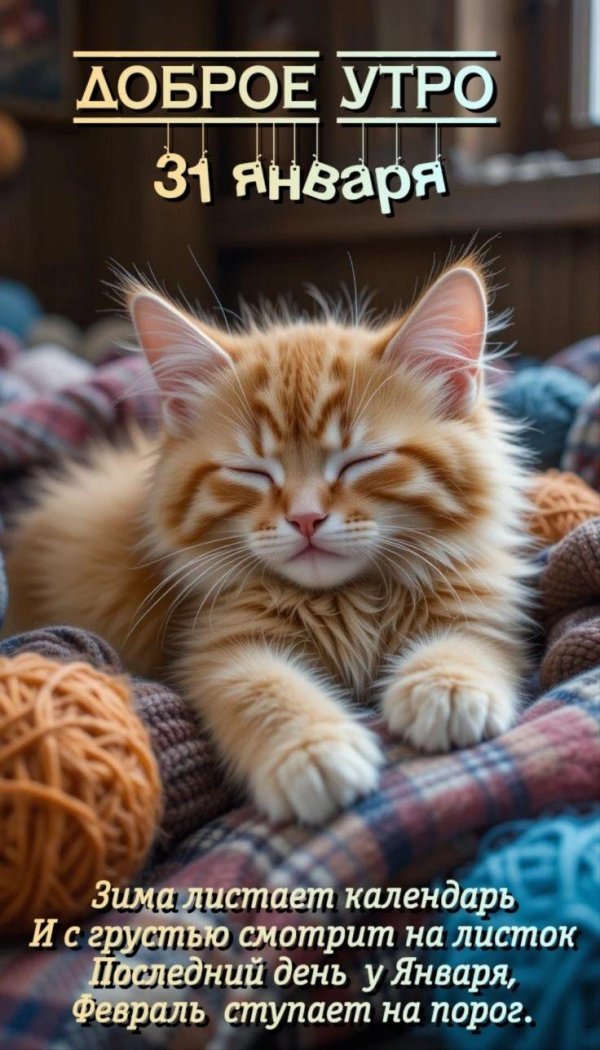 доброго утра январь
