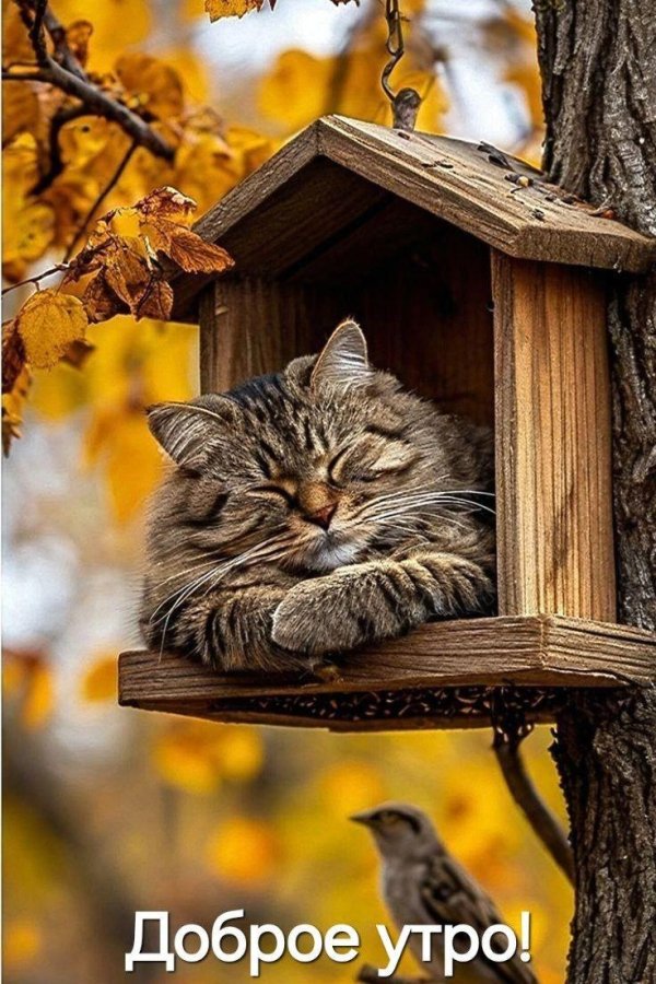 скворечник кормушка