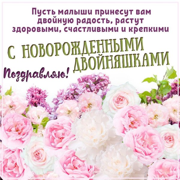 нежные пионы