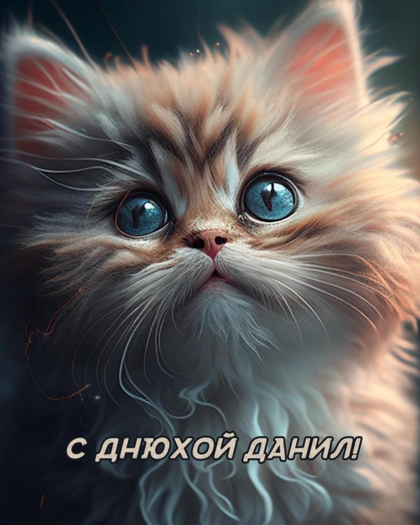 котики милые