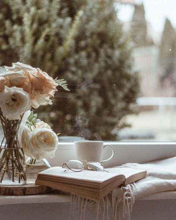 утренняя эстетика