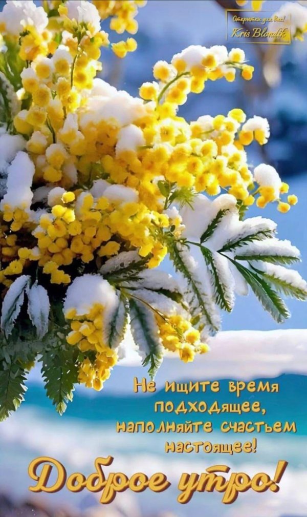 доброго мартовского утра