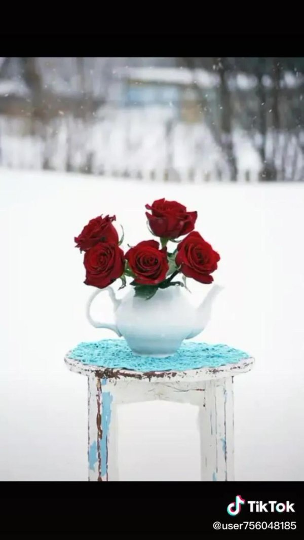 Доброе утро цветы зимой