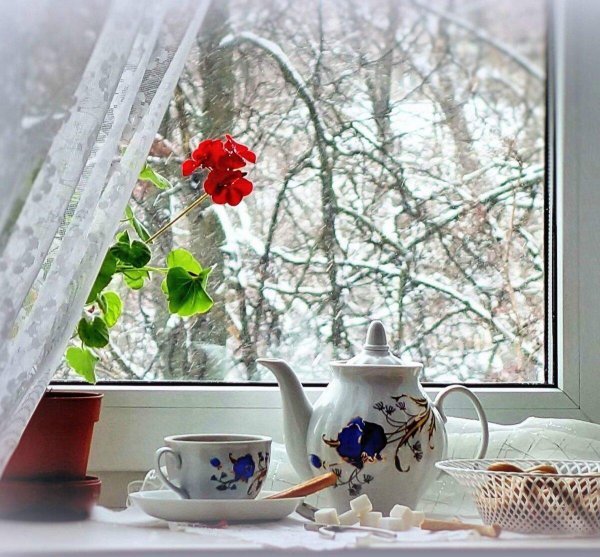 зима за окном