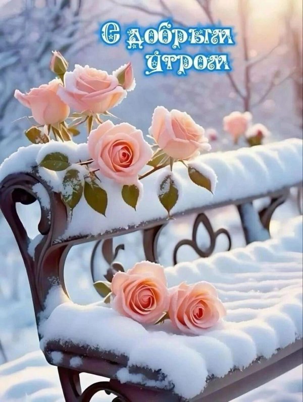 зимние цветы