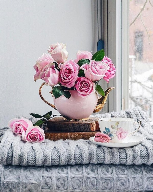 утренние цветы