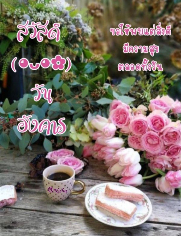 утренние цветы