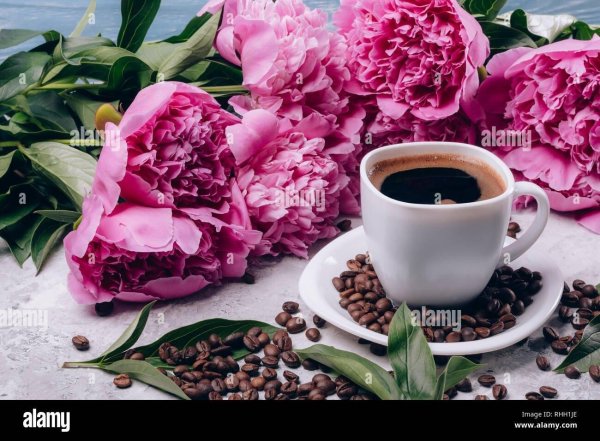 кофе и пионы
