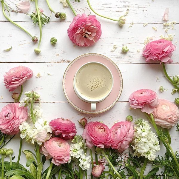 пионы флэтлэй