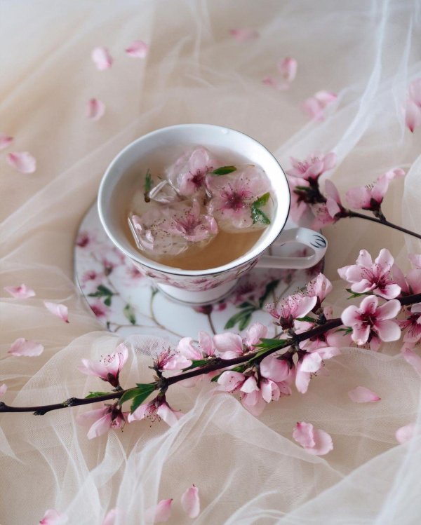 япония чайная церемония