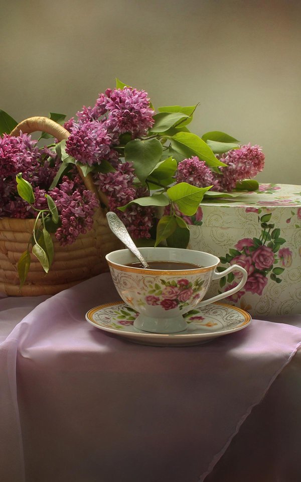 натюрморт сирень