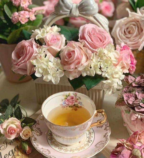 чаепитие в стиле прованс