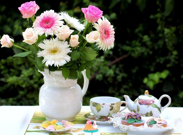 утренние цветы