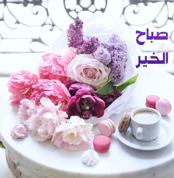 утренние цветы