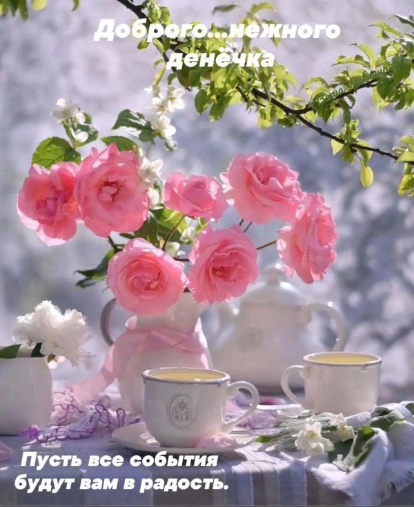 нежного утра