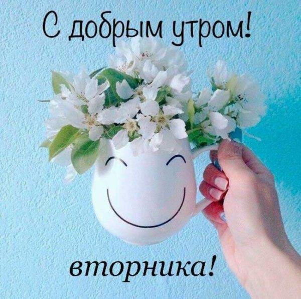 доброго утра вторник