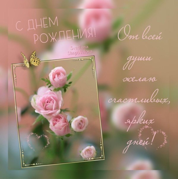 нежный цветок