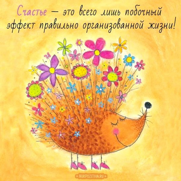 мир позитива