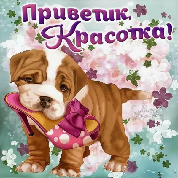 приветик красотка