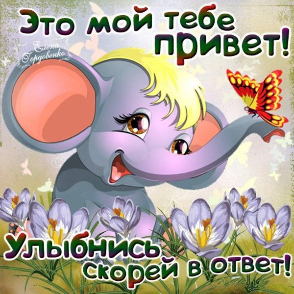 и тебе привет