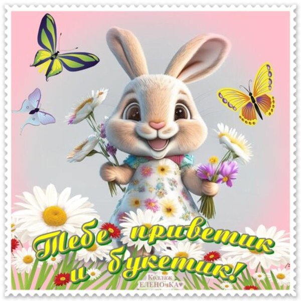 приветик зайка