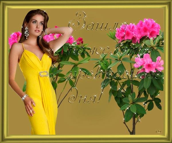 красивое приветствие