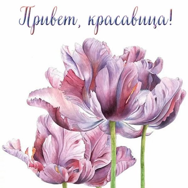 цветок акварель