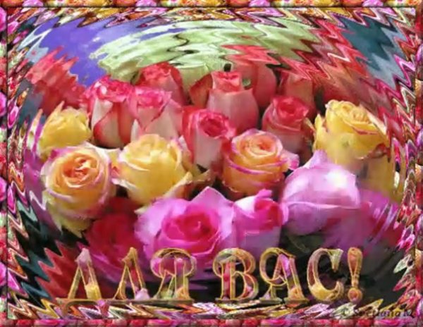 шикарные цветы