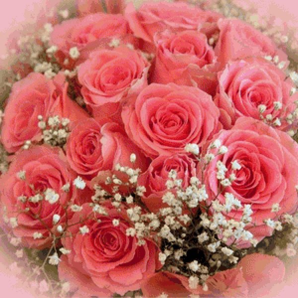 розы поздравление