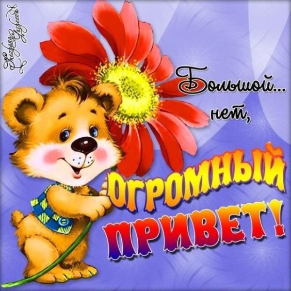 открытки со словом привет