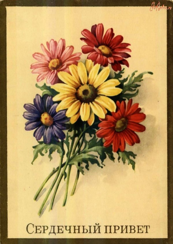 старинные открытки цветы
