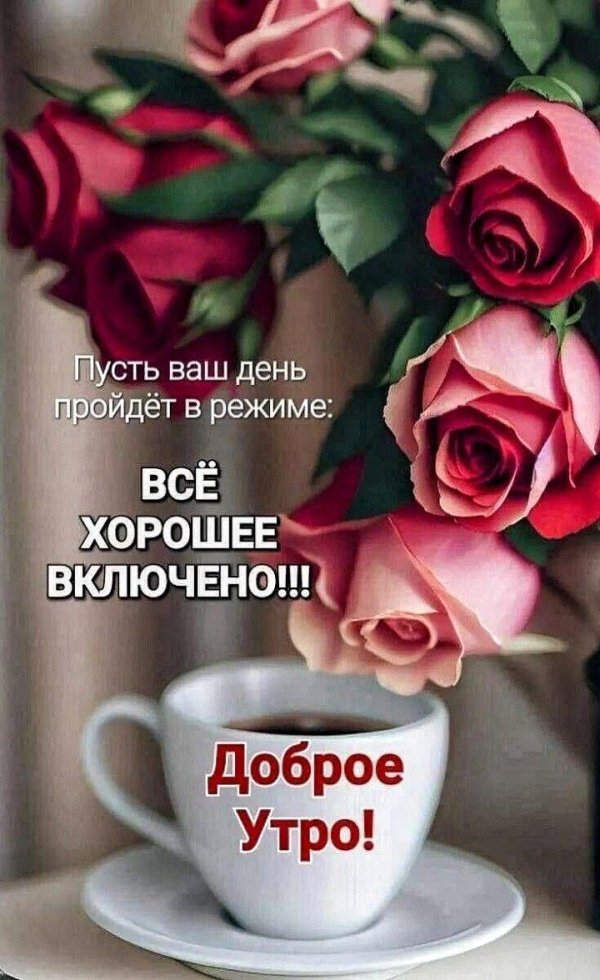 пусть утро