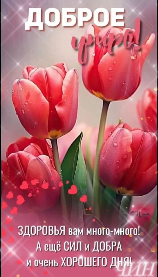 добра утра