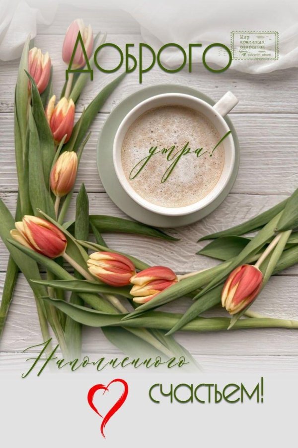 вторника доброго