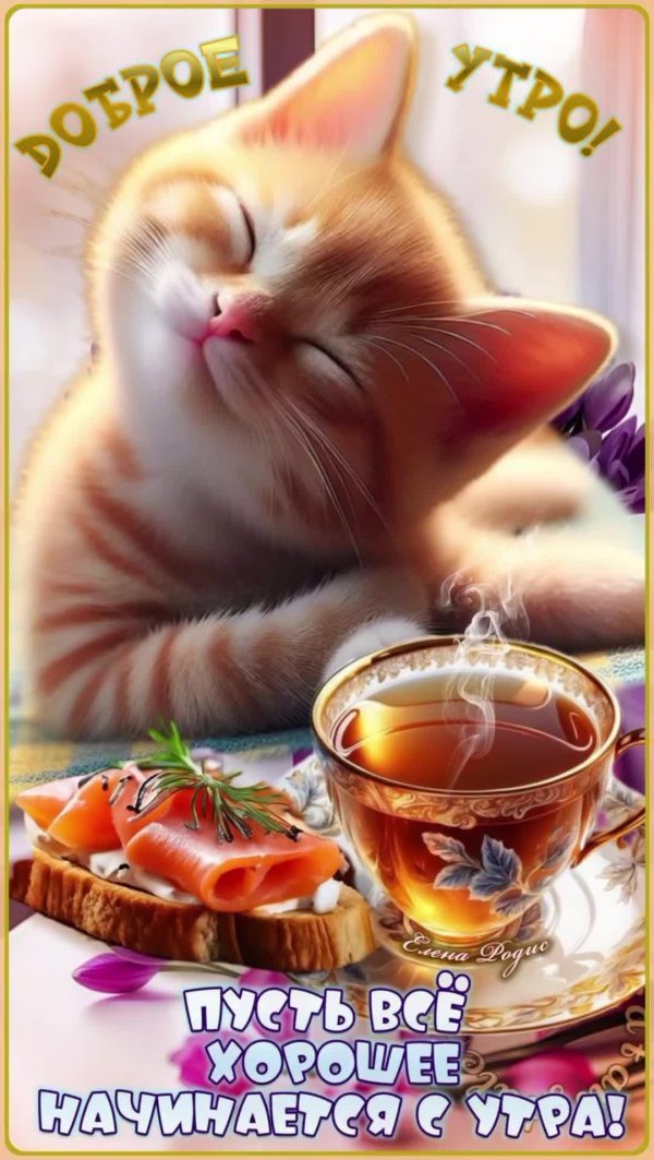 добра утра