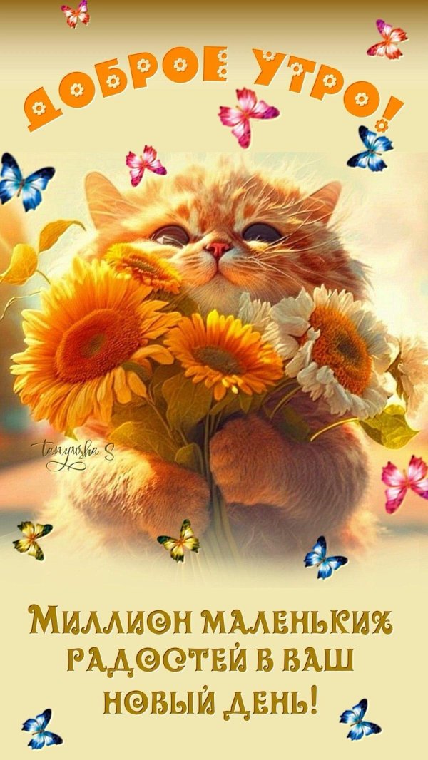 добрые пожелания